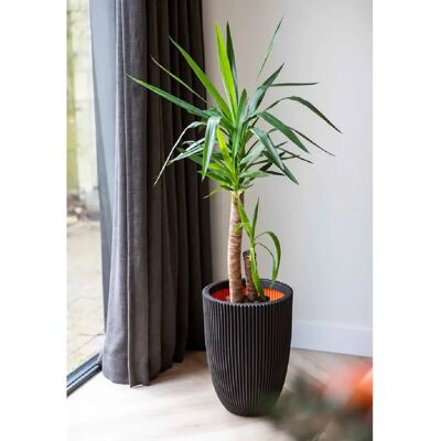 Capi Vase élégant Groove - Noir 34x46 cm - Publicité Capi Vase élégant Groove - Noir 34x46 cm - Publicité