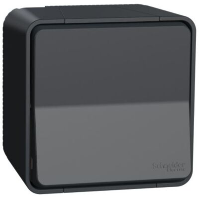 Bouton-poussoir MUREVA STYL saillie IP 55 gris SCHNEIDER ELECTRIC MUR35026 Gris - Publicité Bouton-poussoir MUREVA STYL saillie IP 55 gris SCHNEIDER ELECTRIC MUR35026 Gris - Publicité