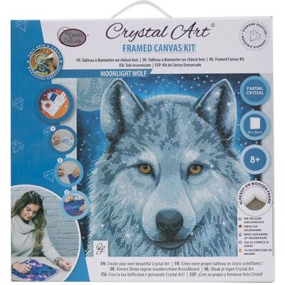 CRYSTAL ART Kit tableau broderie diamant 30x30cm - Loup clair de lune - Publicité CRYSTAL ART Kit tableau broderie diamant 30x30cm - Loup clair de lune - Publicité
