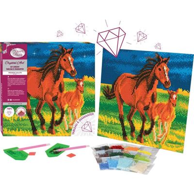 Crystal Art - Kit Tableau Broderie diamant 30 x 30 cm Premiers Galops - Publicité Crystal Art - Kit Tableau Broderie diamant 30 x 30 cm Premiers Galops - Publicité