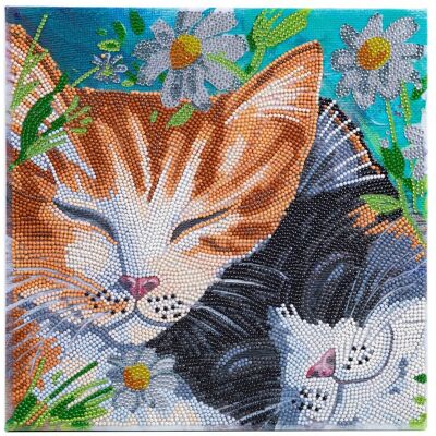 Crystal Art - Kit Tableau Broderie diamant 30 x 30 cm Chats Dormeurs - Publicité Crystal Art - Kit Tableau Broderie diamant 30 x 30 cm Chats Dormeurs - Publicité
