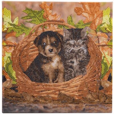 CRYSTAL ART Kit tableau broderie diamant 30x30cm - Chat & chien panier - Publicité CRYSTAL ART Kit tableau broderie diamant 30x30cm - Chat & chien panier - Publicité