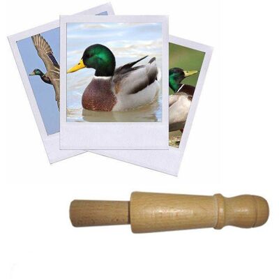 Hélen Baud Appeau Canard Colvert - Publicité Hélen Baud Appeau Canard Colvert - Publicité