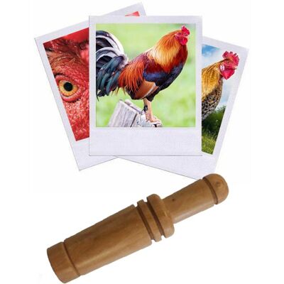 Hélen Baud Appeau Coq - Publicité Hélen Baud Appeau Coq - Publicité