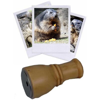 Hélen Baud Appeau Marmotte - Publicité Hélen Baud Appeau Marmotte - Publicité