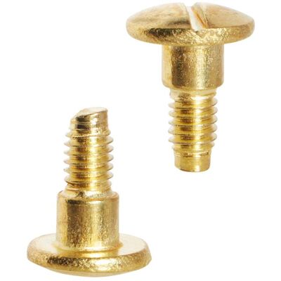 SPRINTIS 100 Unités - Vis à tête fendue pour vis de reliure, 7,5 mm, avec rallonge de 4 mm, laiton, métal, or - Publicité SPRINTIS 100 Unités - Vis à tête fendue pour vis de reliure, 7,5 mm, avec rallonge de 4 mm, laiton, métal, or - Publicité