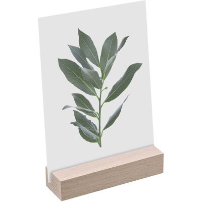 SPRINTIS Porte-carte bois 100 mm blanc insertion droite huilé, bois de hêtre - Publicité SPRINTIS Porte-carte bois 100 mm blanc insertion droite huilé, bois de hêtre - Publicité