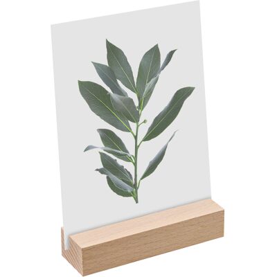 SPRINTIS Porte-carte bois 100 mm Hêtre insertion droite huilé, bois de hêtre - Publicité SPRINTIS Porte-carte bois 100 mm Hêtre insertion droite huilé, bois de hêtre - Publicité
