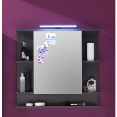 Deladeco Armoire de toilette design avec éclairage coloris gris Trevis Gris Gris - Publicité Deladeco Armoire de toilette design avec éclairage coloris gris Trevis Gris Gris - Publicité
