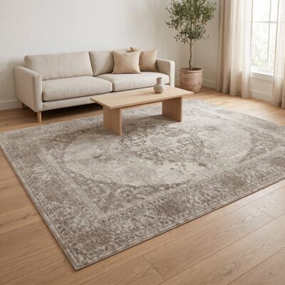 Deladeco Tapis vintage plat pour intérieur Meda Beige 200x300 Beige 200x300 - Publicité Deladeco Tapis vintage plat pour intérieur Meda Beige 200x300 Beige 200x300 - Publicité