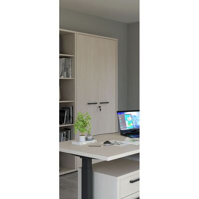 Deladeco Armoire haute de bureau contemporaine chêne clair Lexos Chêne clair Chêne clair - Publicité Deladeco Armoire haute de bureau contemporaine chêne clair Lexos Chêne clair Chêne clair - Publicité