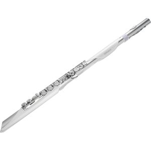 Roland AE-BRISA Aerophone Flûte traversière numérique NEW! - Publicité Roland AE-BRISA Aerophone Flûte traversière numérique NEW! - Publicité