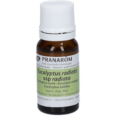 Pranarom Pranarôm Eucalyptus Radié Huile Essentielle Bio 10 ml Huile - Publicité Pranarom Pranarôm Eucalyptus Radié Huile Essentielle Bio 10 ml Huile - Publicité