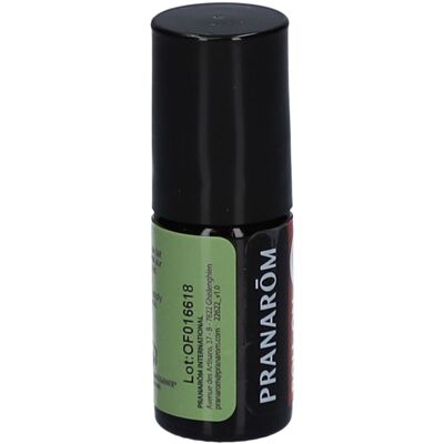Pranarom Roll-on maux de tête - Bio 5 ml Rouleau - Publicité Pranarom Roll-on maux de tête - Bio 5 ml Rouleau - Publicité