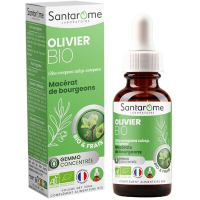 SANTAROME Olivier Bio 30 ml Fluide - Publicité SANTAROME Olivier Bio 30 ml Fluide - Publicité