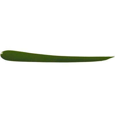 Eye Care Cosmetics Eyeliner Vert - Yeux sensibles - 5g - Publicité Eye Care Cosmetics Eyeliner Vert - Yeux sensibles - 5g - Publicité