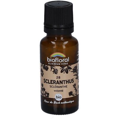 BIOFLORAL 28 Scleranthus - Scléranthe 19 g Granulés - Publicité BIOFLORAL 28 Scleranthus - Scléranthe 19 g Granulés - Publicité