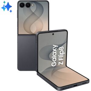 Samsung Galaxy Z Flip8 6.9" 5G Double SIM 12 Go RAM 256 Go USB Type-C 4300 mAh Graphite SM-F776BZKGEUB