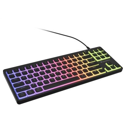 GENESIS - Thor 430 TKL - 87 keys - RGB - Keyboard - Publicité GENESIS - Thor 430 TKL - 87 keys - RGB - Keyboard - Publicité
