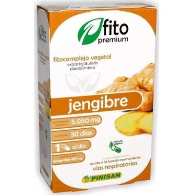 Pinisan Phyto Premium Gingembre 30 capsules - Complément alimentaire - Publicité Pinisan Phyto Premium Gingembre 30 capsules - Complément alimentaire - Publicité