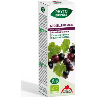 Intersa Cassis Phytobiopole - Soutient le système immunitaire - Publicité Intersa Cassis Phytobiopole - Soutient le système immunitaire - Publicité