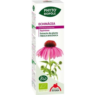 Intersa Echinacea Extrait Bio - Soutient la santé immunitaire - Publicité Intersa Echinacea Extrait Bio - Soutient la santé immunitaire - Publicité