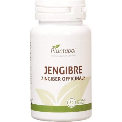 Plantapol Gingembre 600mg Capsules - Complément alimentaire - Publicité Plantapol Gingembre 600mg Capsules - Complément alimentaire - Publicité
