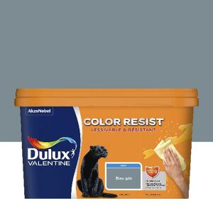 Dulux Valentine Color Resist - Murs&Boiseries; - Mat Bleu Gris - 2,5L