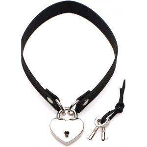 Master Series Collier Choker avec Cadenas Coeur Lock-It