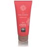 Shiatsu Lubrifiant et Gel de Massage 2 en 1 Body Sensation Fraise 200 ml