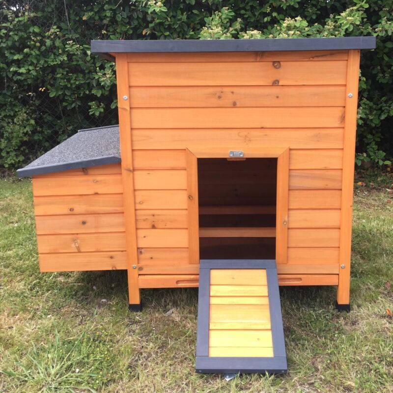 POULAILLER DIRECT Poulailler Sussex L 4 À 6 Poules Bois Fsc POULAILLER DIRECT Poulailler Sussex L 4 À 6 Poules Bois Fsc