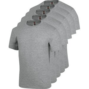 Lot de 5 tee-shirts de travail Würth MODYF gris Gris clair XXL