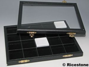 Ricestone 8) Coffret vitré escamotable 20x boîtes gemmes 4x4.