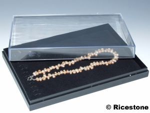 Ricestone 4) Coffret plastique pour présenter 13 bracelets 18 x 25 cm.