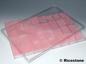 Ricestone 2i) Coffret plastique 24,5 x 36cm, 32 compartiments, pour loisirs créatifs.