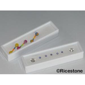 Ricestone 7) 12x Boites gemmologie 10x3, dessus verre pierre taillee.