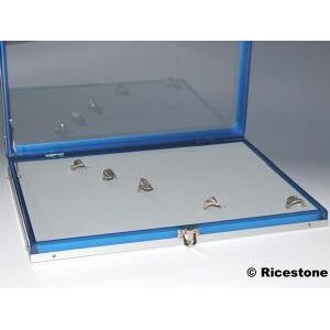 Ricestone 2a) Coffret 100 bagues, Presentoir corps bleu, 25x35 cm