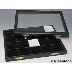 Ricestone 8) Coffret vitre escamotable 20x boîtes gemmes 4x4.