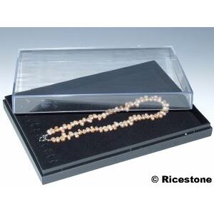 Ricestone 4) Coffret plastique pour présenter 13 bracelets 18 x 25 cm.