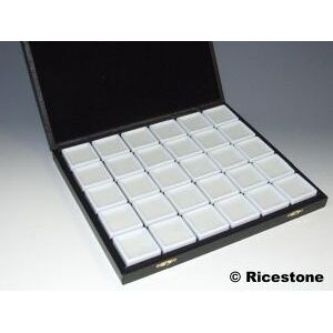 Ricestone 2b) Coffret 30x boîtes de gemmologie 4x4cm, couvercle à charnière.