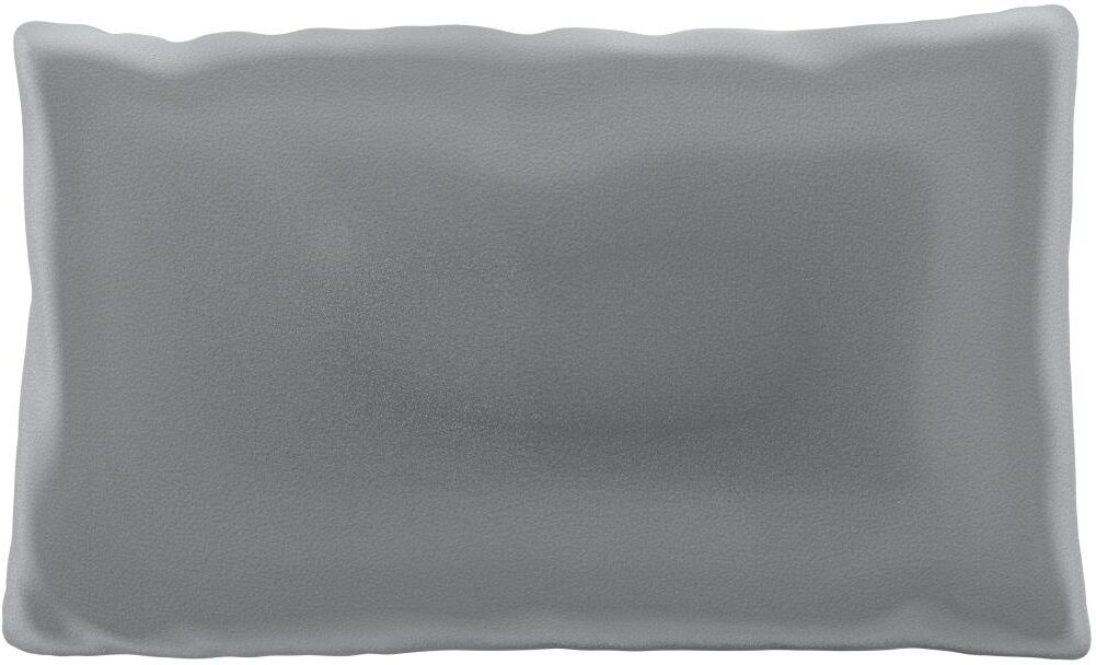 MYCS Coussin Grège - 30x50 cm - Housse en Velours. Coussin de canapé moelleux MYCS Coussin Grège - 30x50 cm - Housse en Velours. Coussin de canapé moelleux