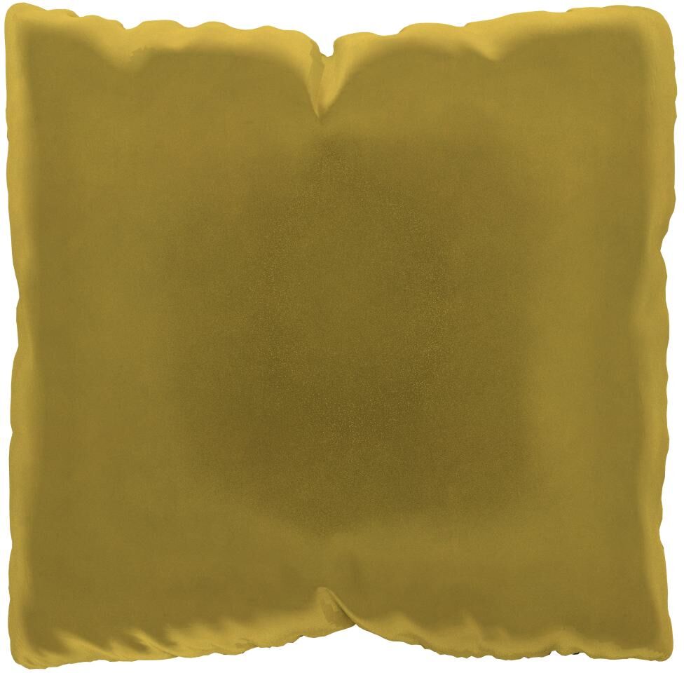 MYCS Coussin Jaune Colza - 40x40 cm - Housse en Velours. Coussin de canapé moelleux