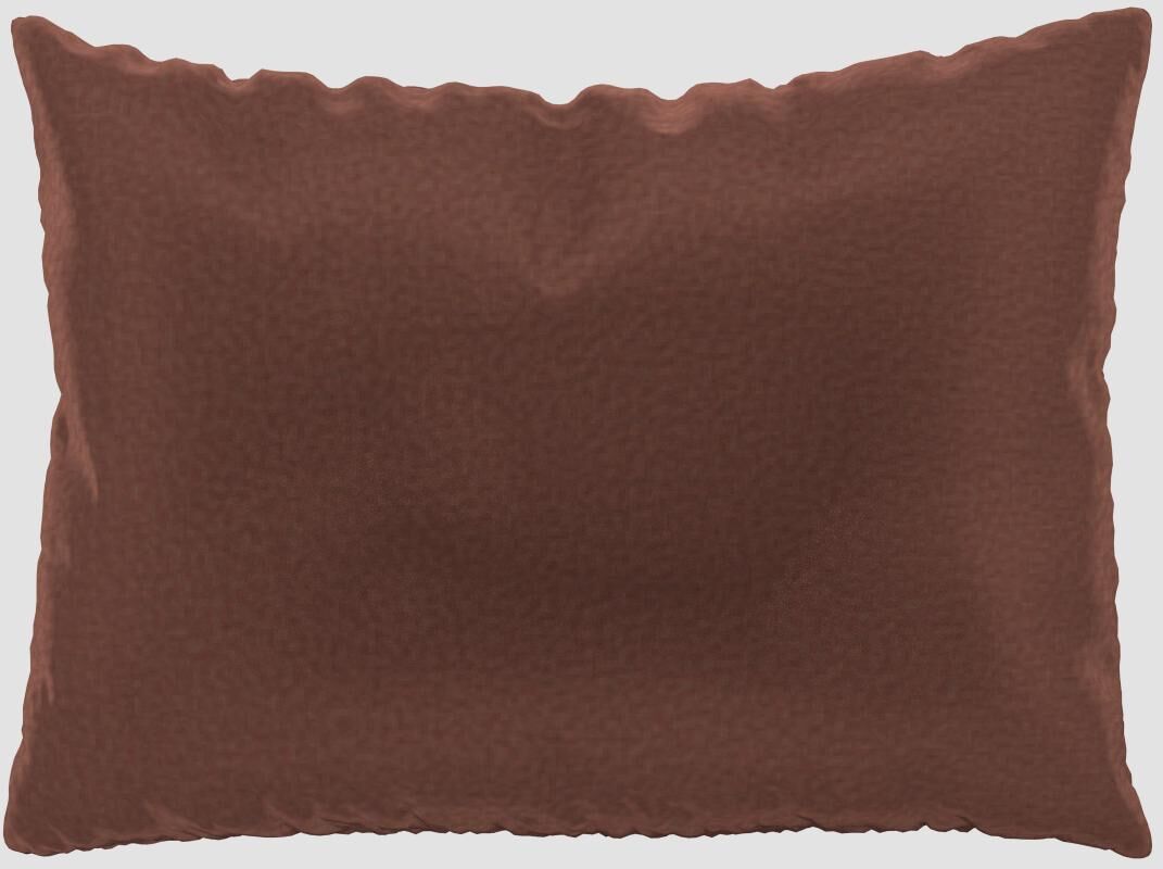 MYCS Coussin Vieux Rose - 48x65 cm - Housse en Velours. Coussin de canapé moelleux MYCS Coussin Vieux Rose - 48x65 cm - Housse en Velours. Coussin de canapé moelleux