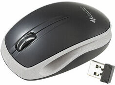 General Keys Souris optique sans fil ultra-compacte 2,4 Ghz