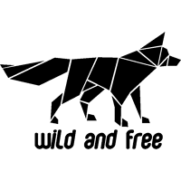 Ambiance-sticker Sticker origami wild and free loup