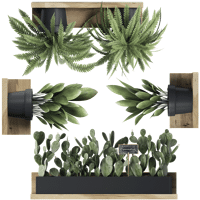 Ambiance-sticker Stickers effet 3D plantes d’intérieur sur étagères
