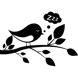 Ambiance-sticker Sticker Oiseau dormant sur une branche