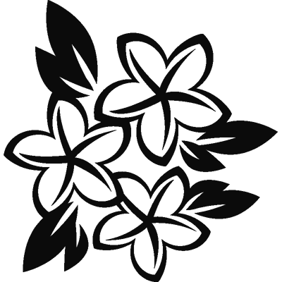 Ambiance-sticker Sticker 3 fleurs plumeria - Publicité Ambiance-sticker Sticker 3 fleurs plumeria - Publicité