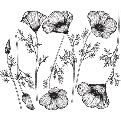 Ambiance-sticker Sticker fleurs coquelicots étincelants - Publicité Ambiance-sticker Sticker fleurs coquelicots étincelants - Publicité
