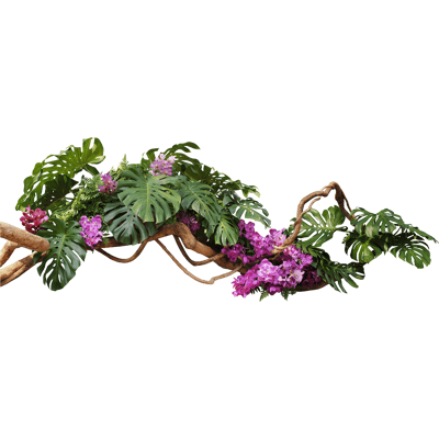 Ambiance-sticker Sticker nature branche de monstera en fleurs - Publicité Ambiance-sticker Sticker nature branche de monstera en fleurs - Publicité